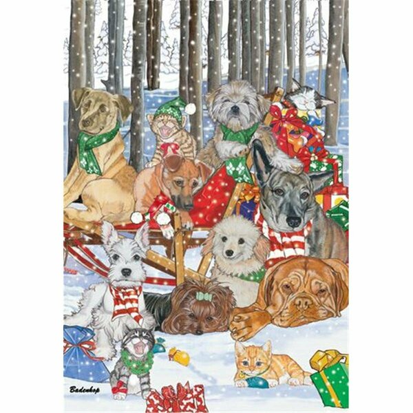 Pipsqueak Productions Mix Dog With Cat Holiday Boxed Cards C517